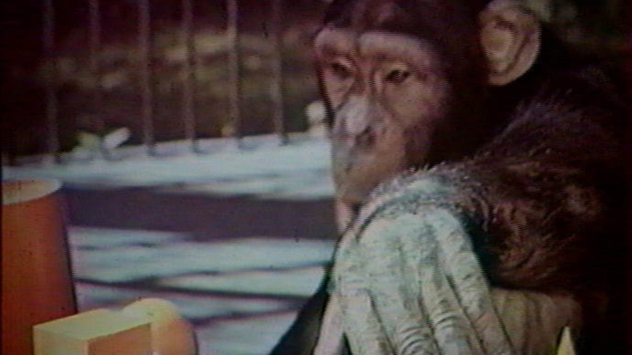 Do Animals Think? backdrop