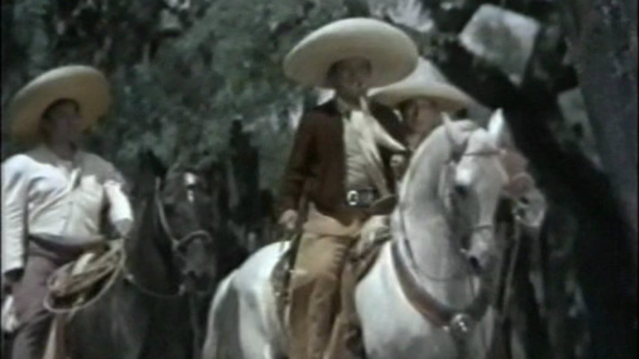 Bala Perdida backdrop