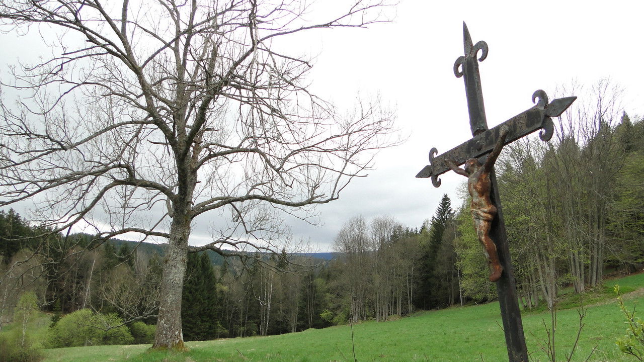 Šumava Vladimíra Horpeniaka backdrop