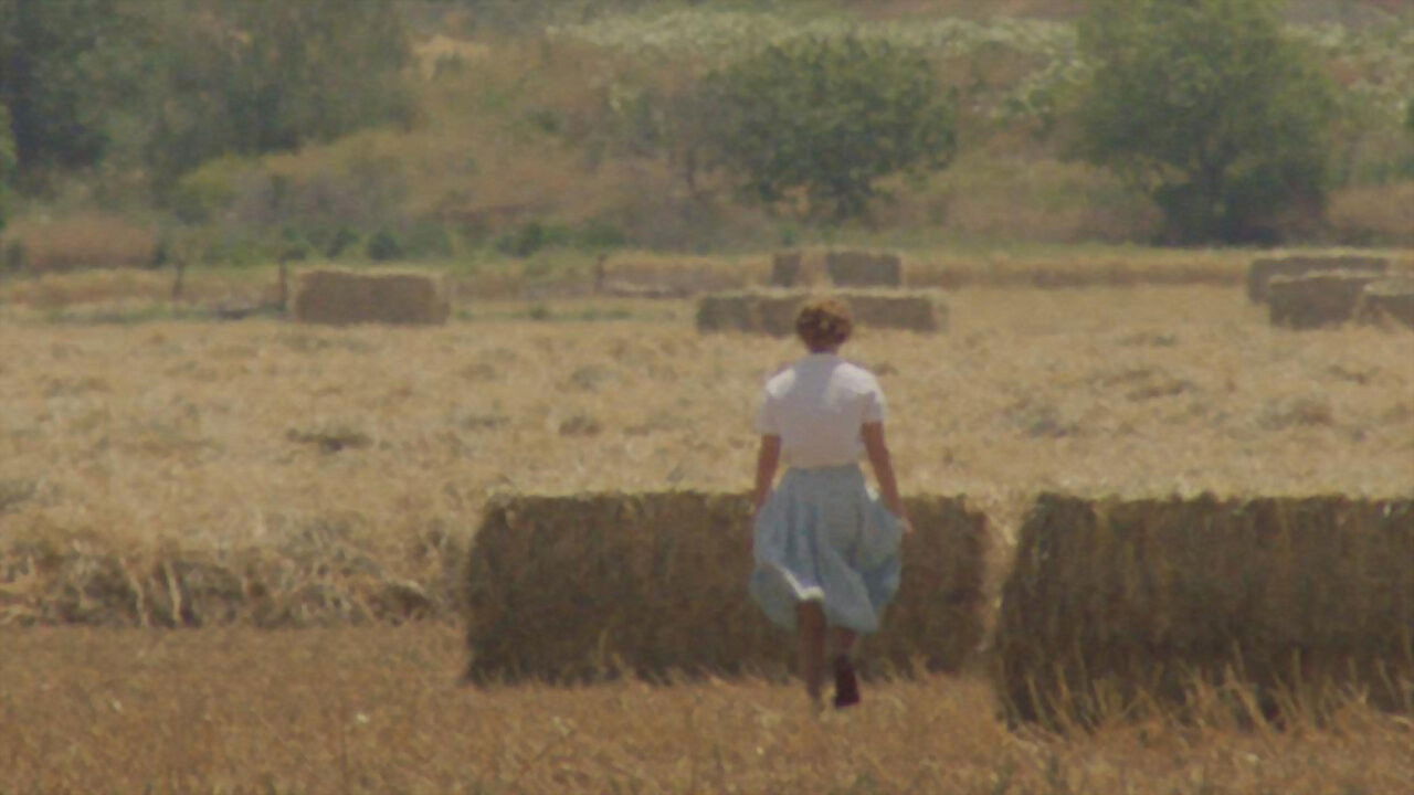 Four Hours a Day backdrop