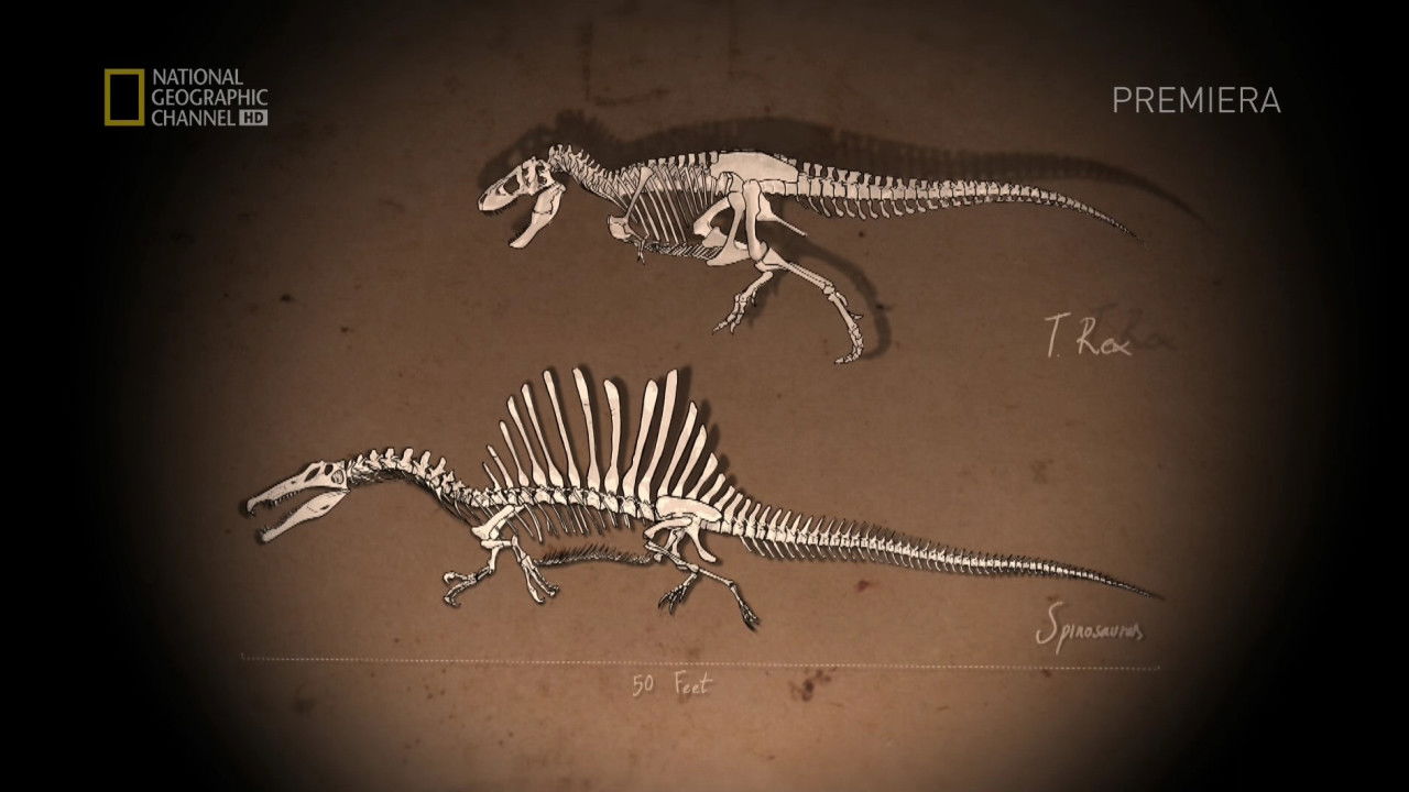 Bigger Than T.Rex backdrop