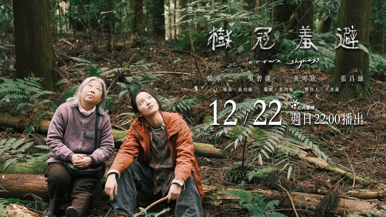 Crown Shyness backdrop