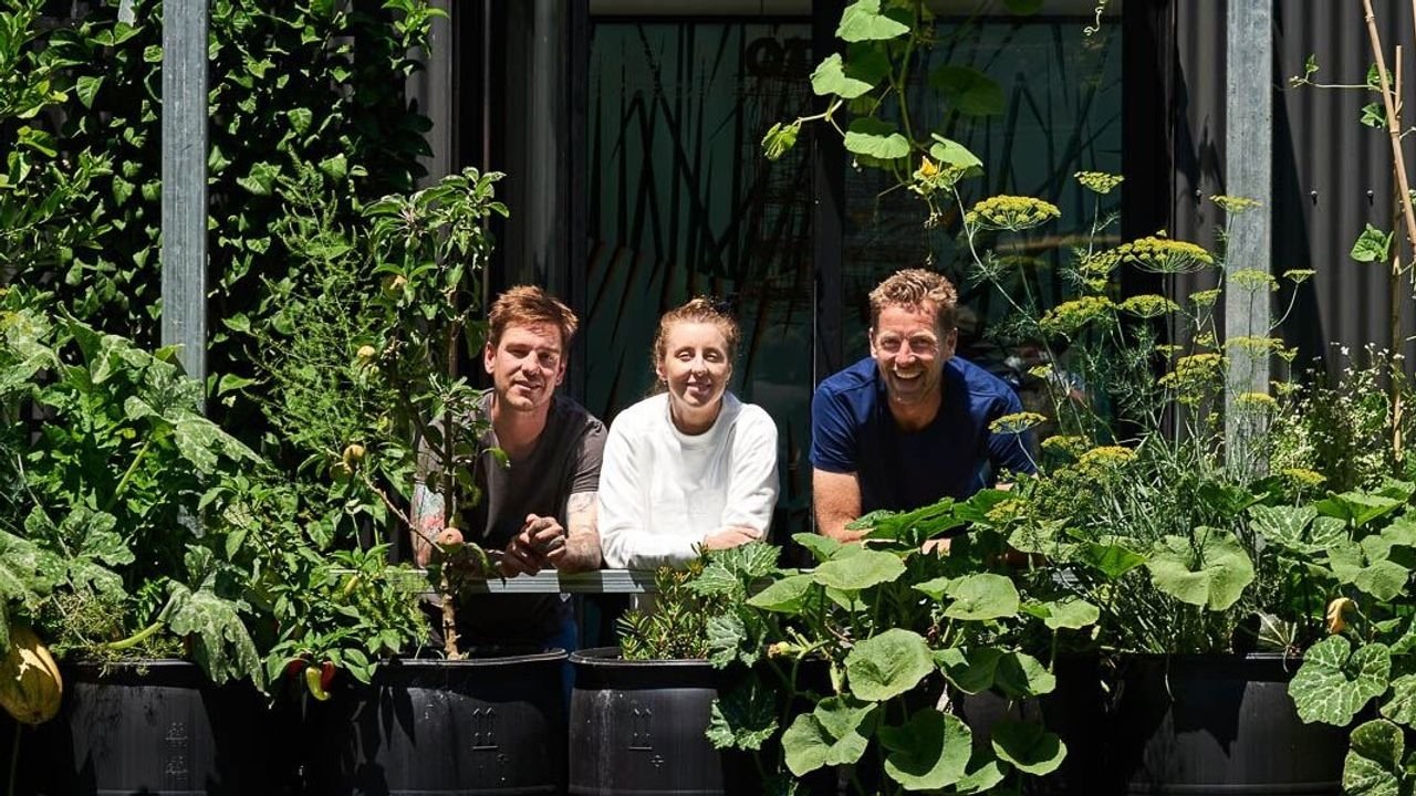 Greenhouse by Joost backdrop