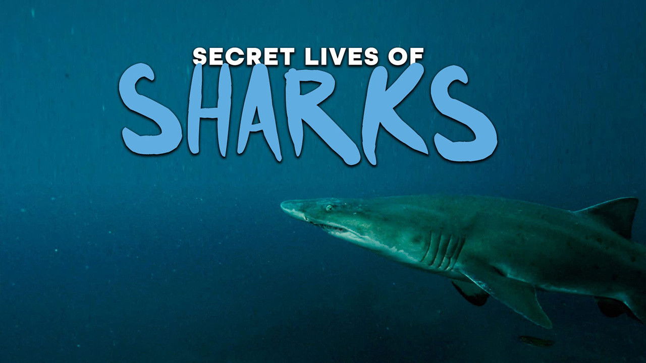 The Secret Lives of Sharks backdrop