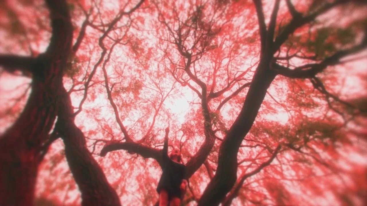 A Little More Flesh backdrop