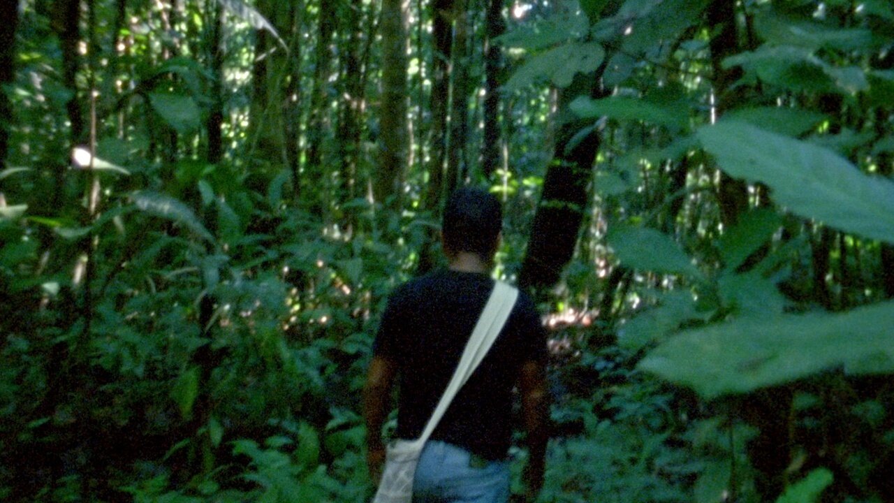 The Labyrinth backdrop