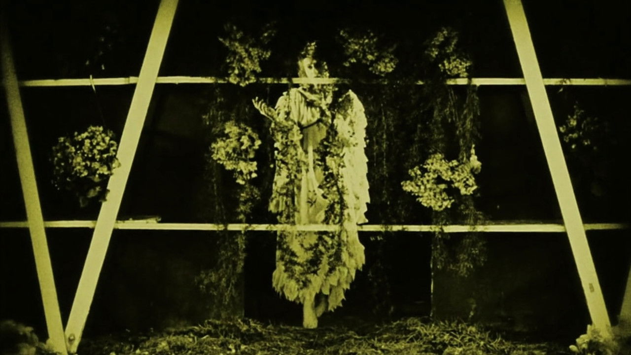 Miracle of Flowers backdrop