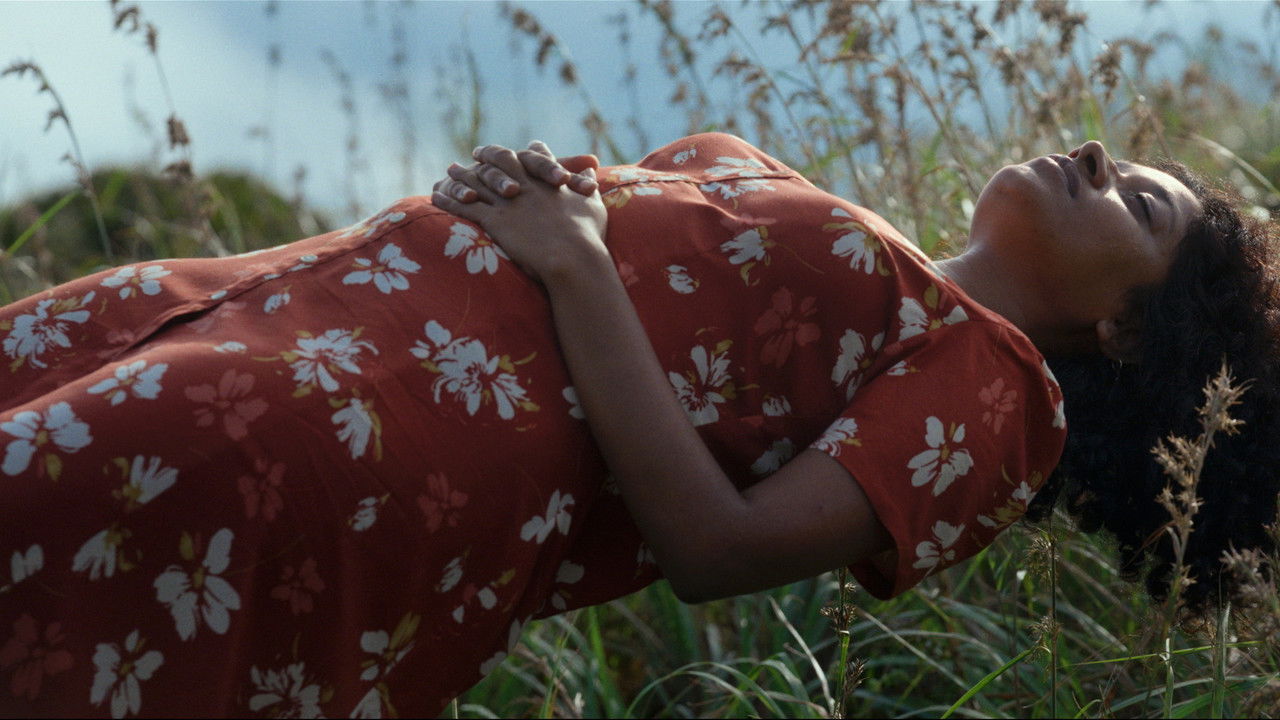 Spying Stars backdrop