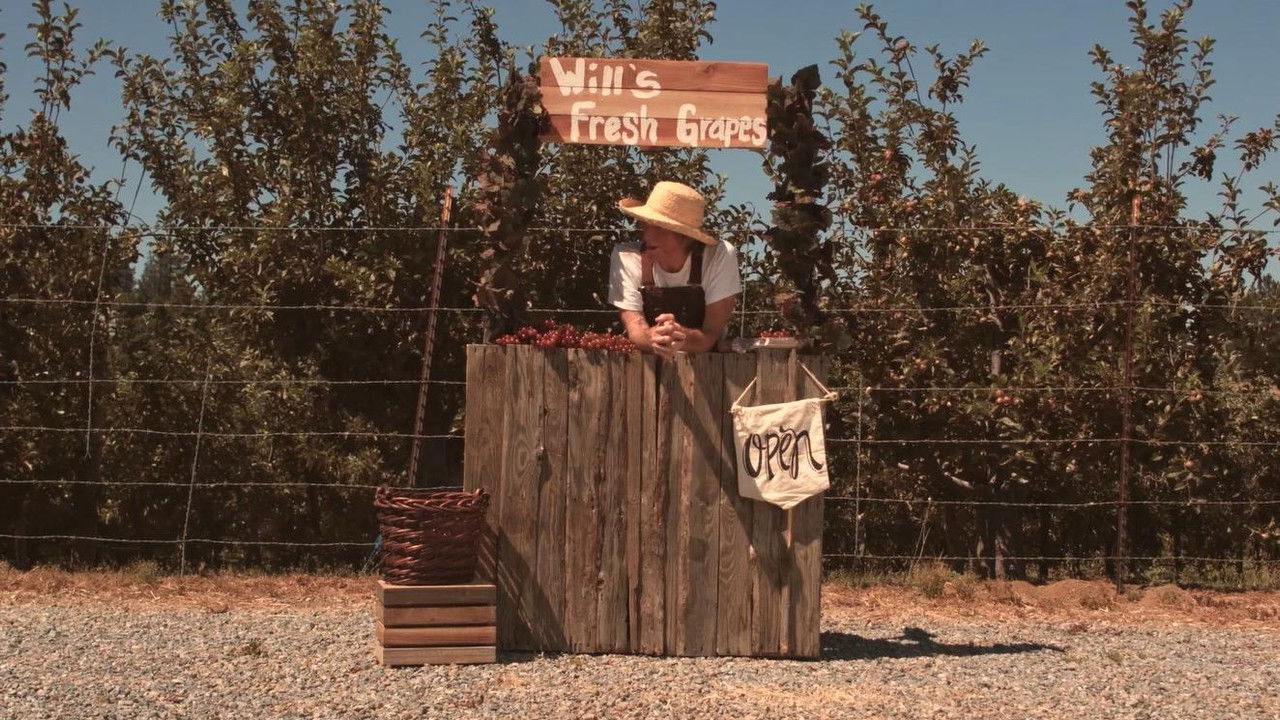 Windfall Rising backdrop