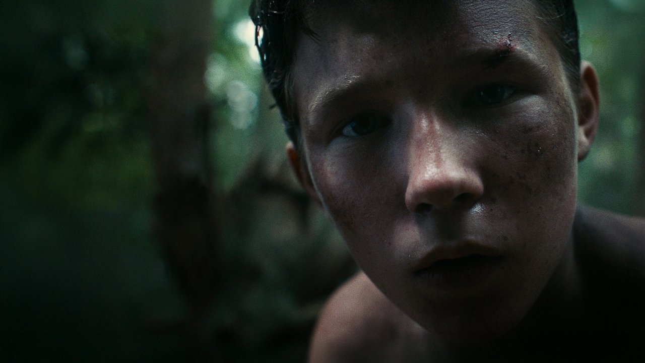 Lost on a Mountain in Maine backdrop