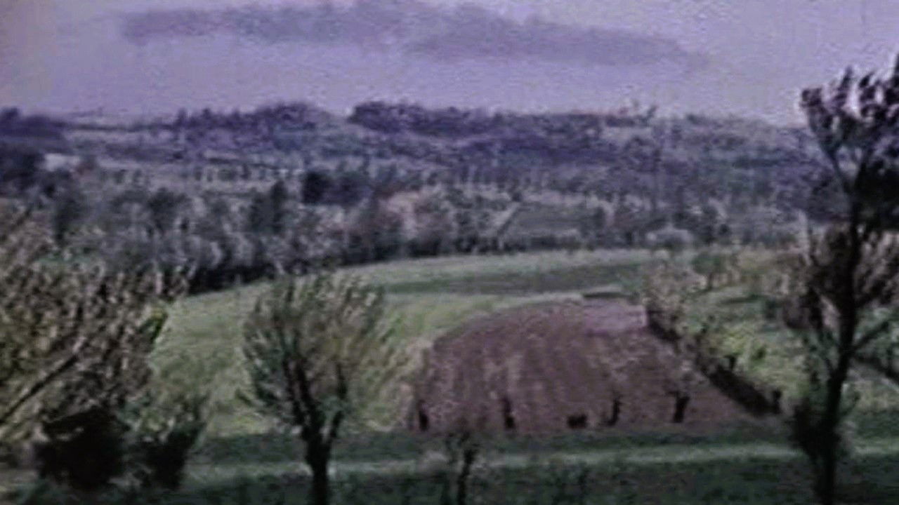 The Seasons backdrop