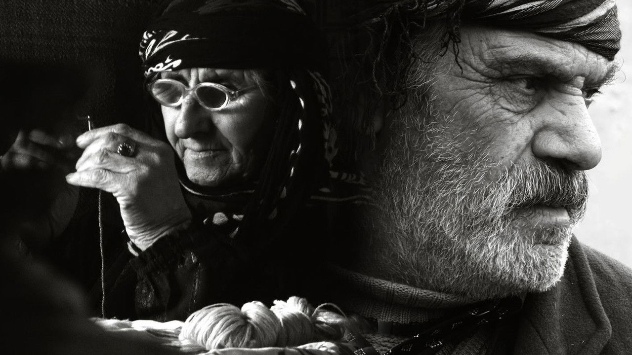 The Last Winter backdrop