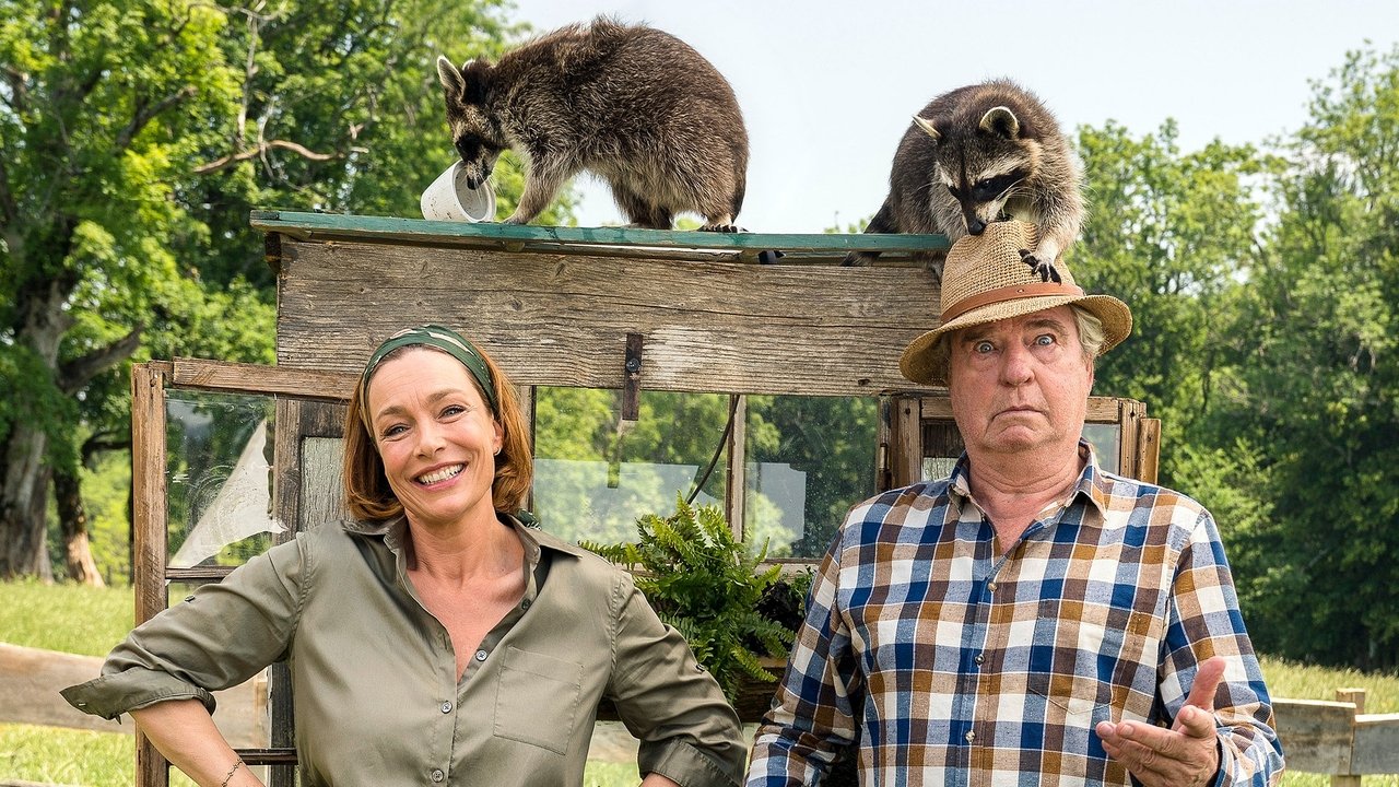 Zimmer mit Stall - Die Waschbären sind los backdrop