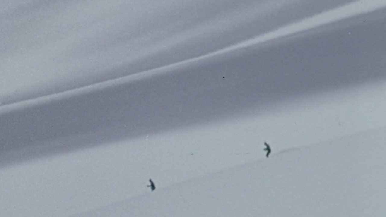 Winter Fever backdrop