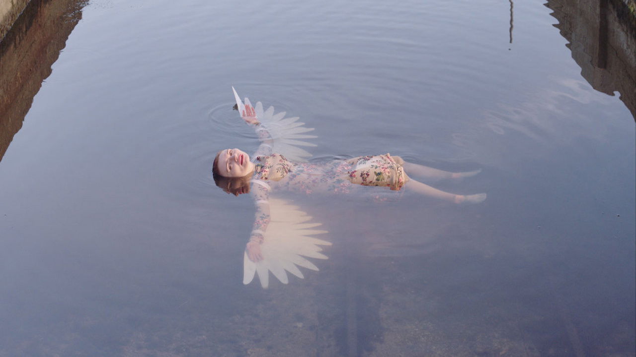 Die Seemeeu backdrop