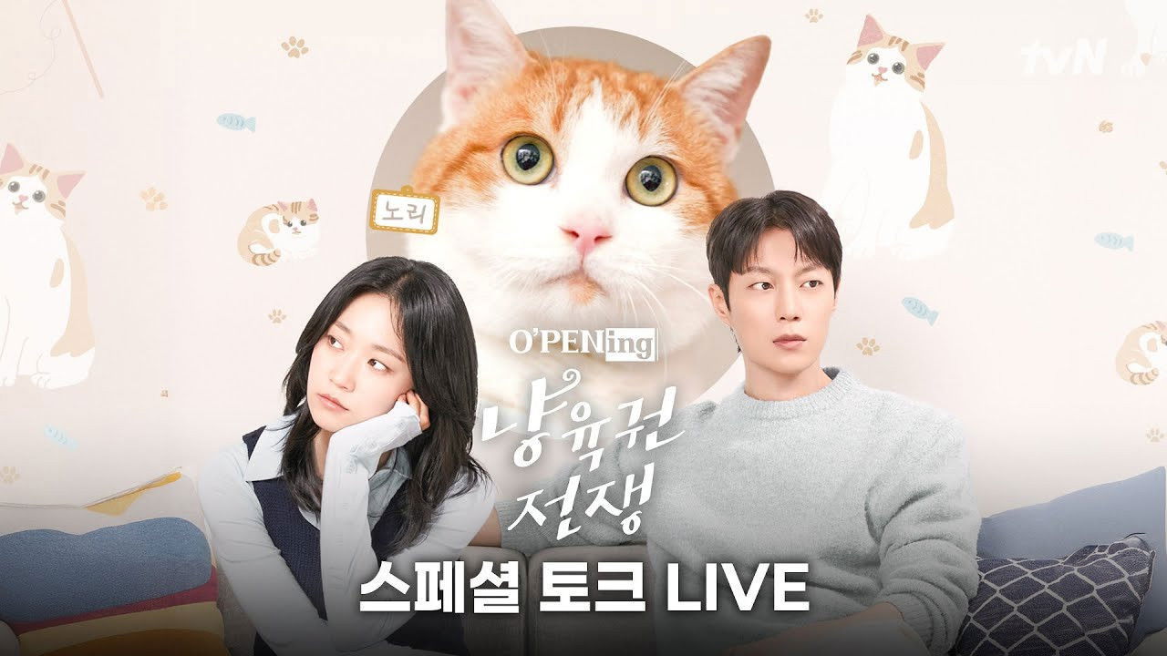 O'PENing 2025: The Catstody War backdrop