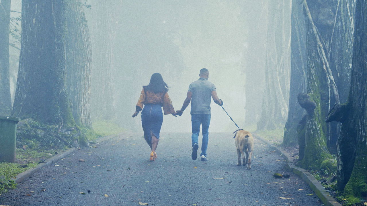 The Perfect Picture: Ten Years Later backdrop