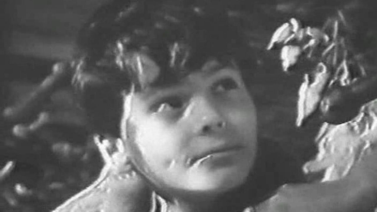 Vaska the Mannequin backdrop