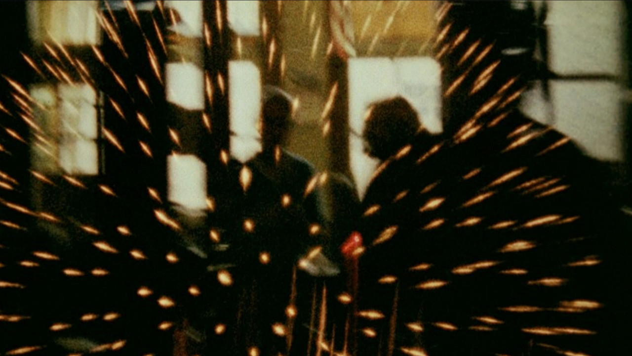 Looking for Mushrooms backdrop