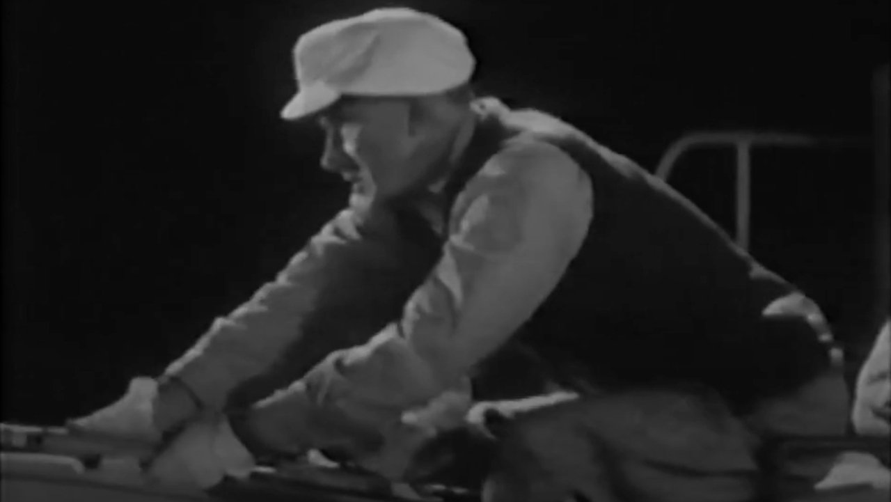 White Death backdrop