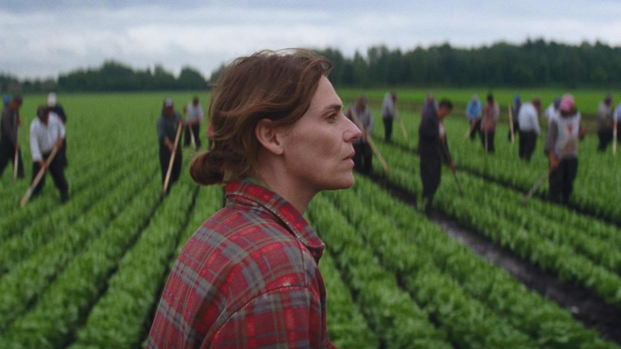 Drunken Birds backdrop