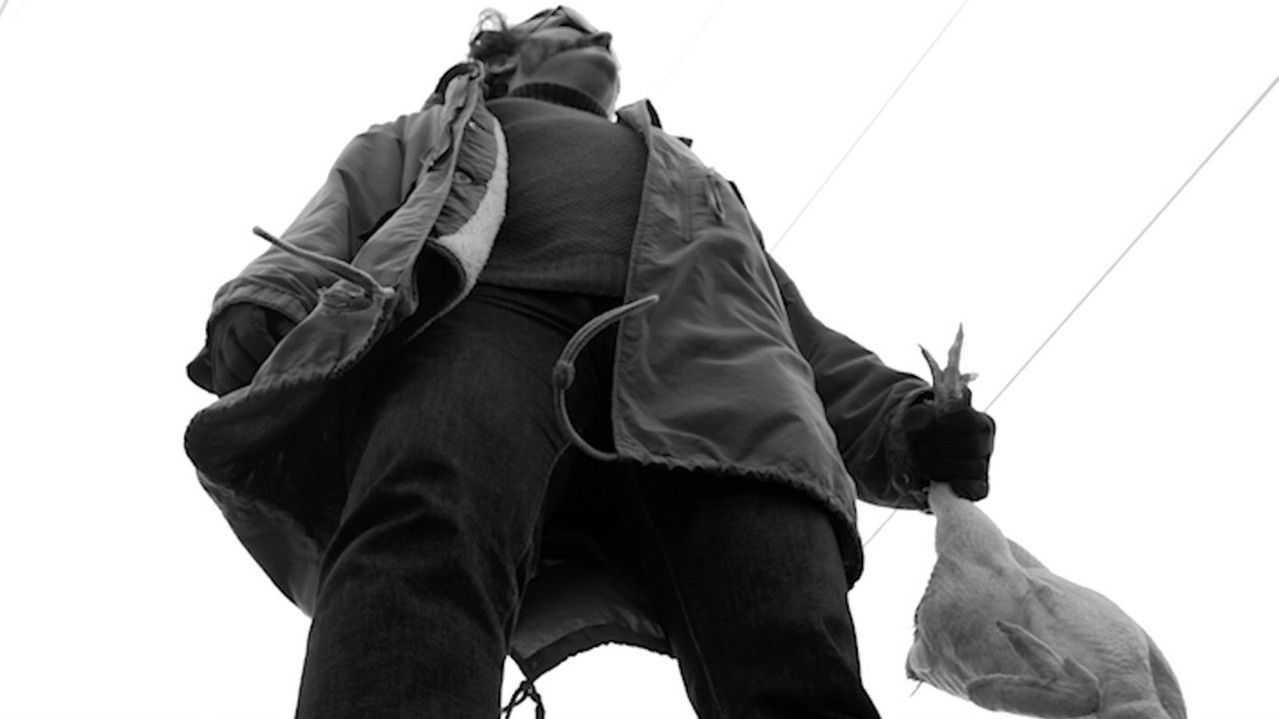 The Chicken Hunter backdrop