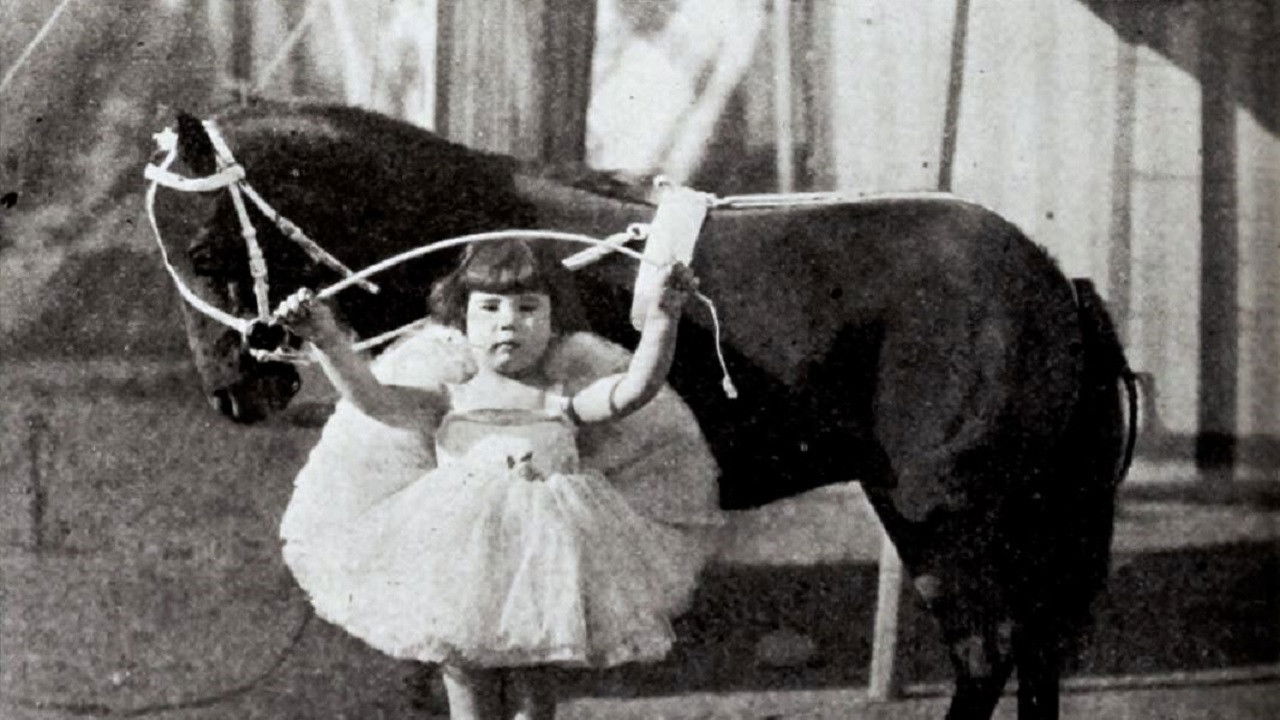 Circus Clowns backdrop