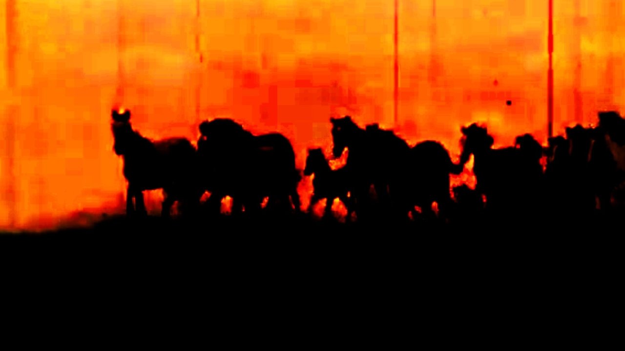 Naughty America: Guns & Stripes backdrop