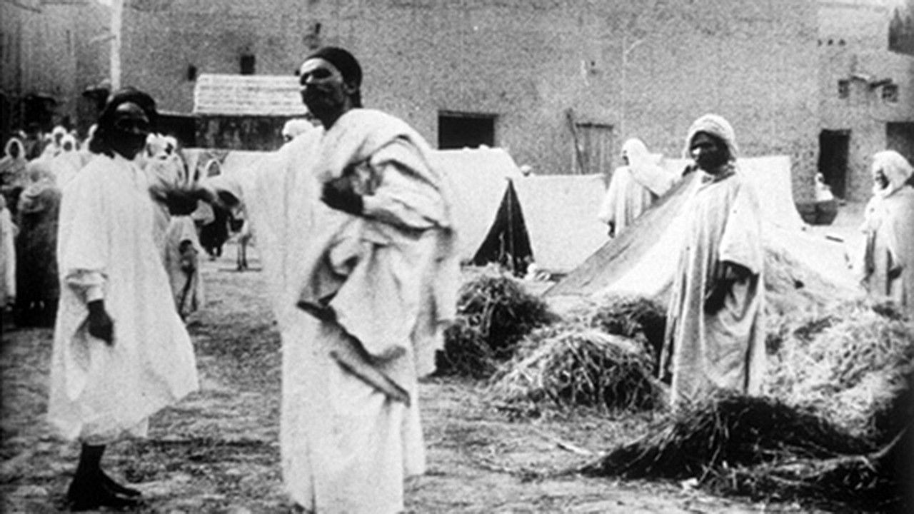 Biskra : enfants indigènes ramassant des pièces de monnaie backdrop