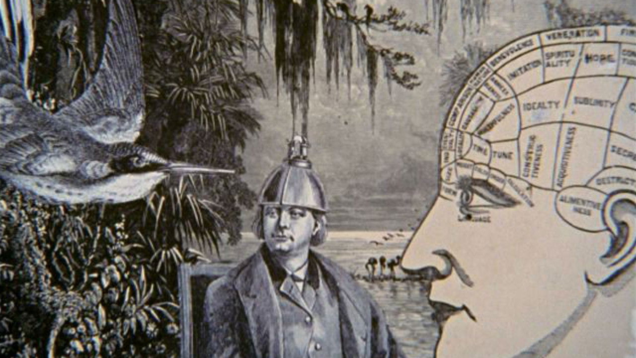 Night Light backdrop