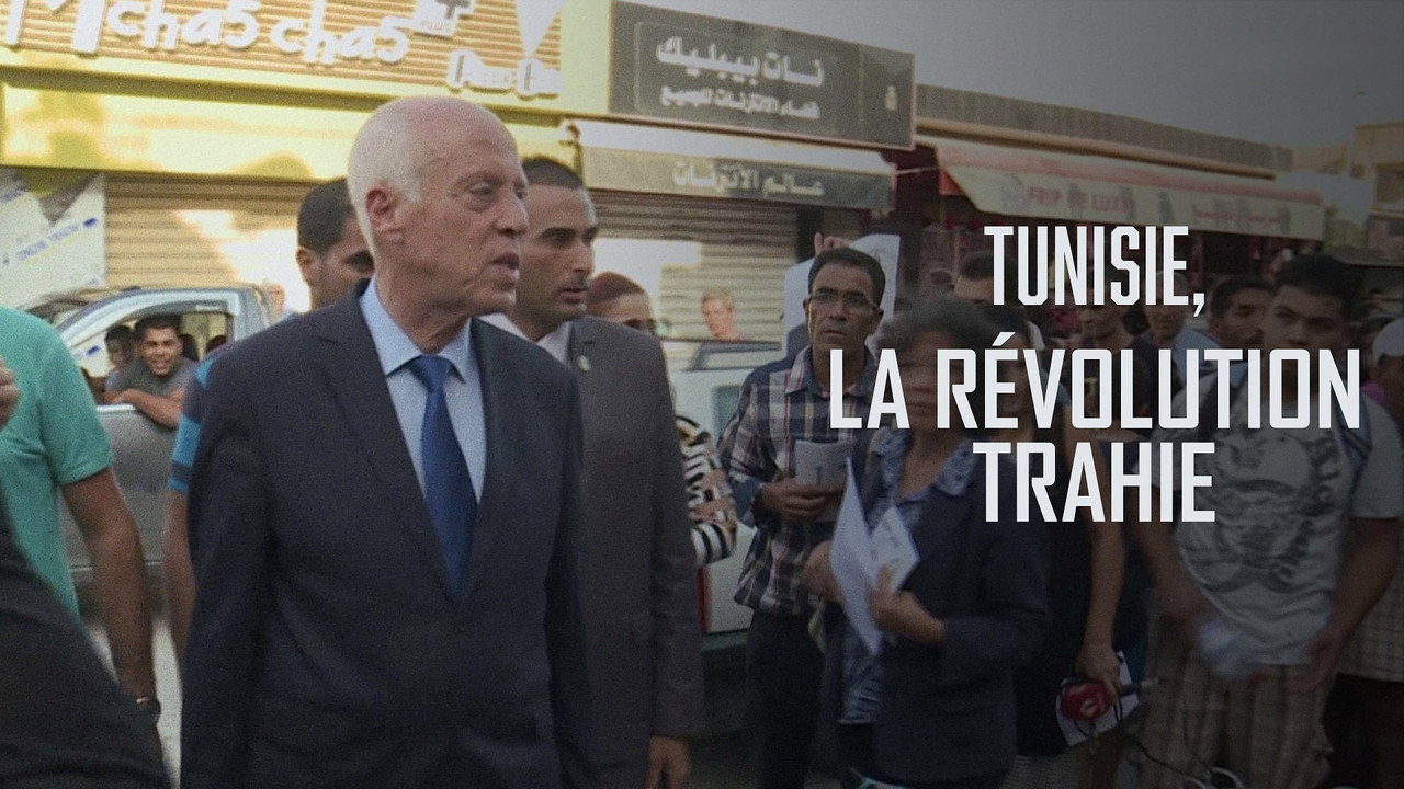 Tunisie, la révolution trahie backdrop