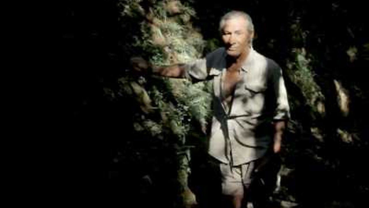 La siesta del tigre backdrop