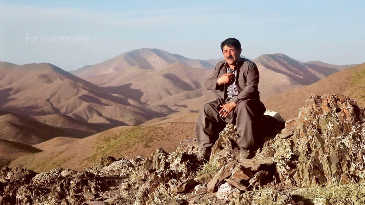 Farewell Analog backdrop