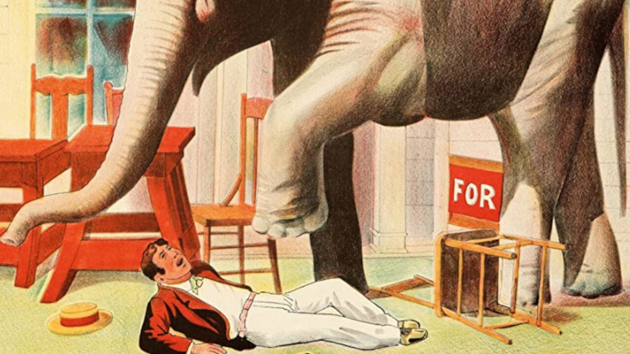 Mike's Brainstorm backdrop