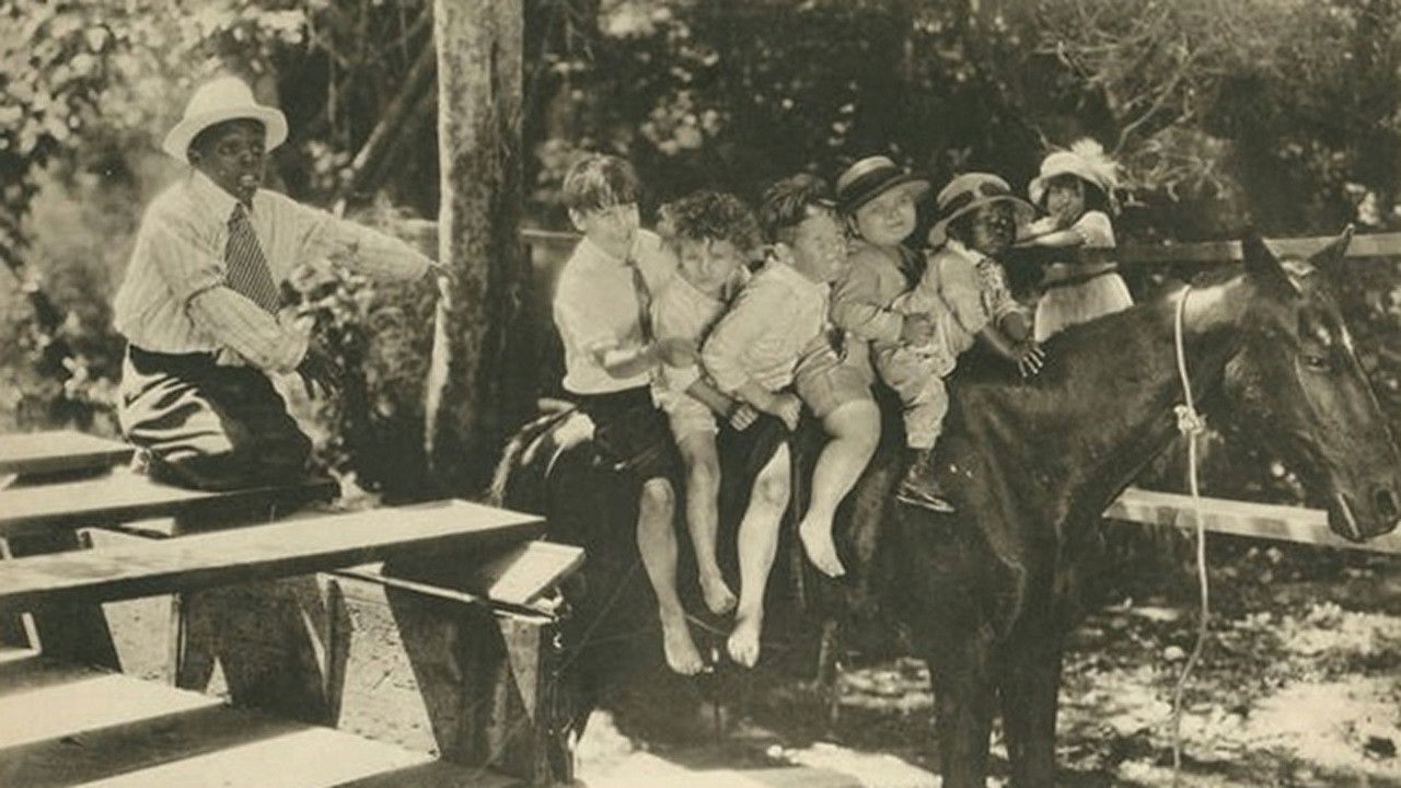 Sunday Calm backdrop