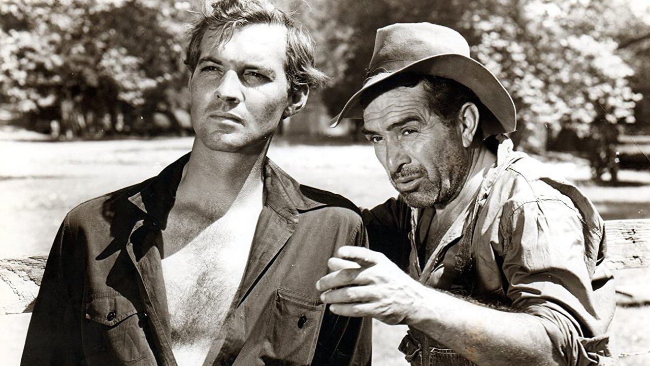 The Southerner backdrop