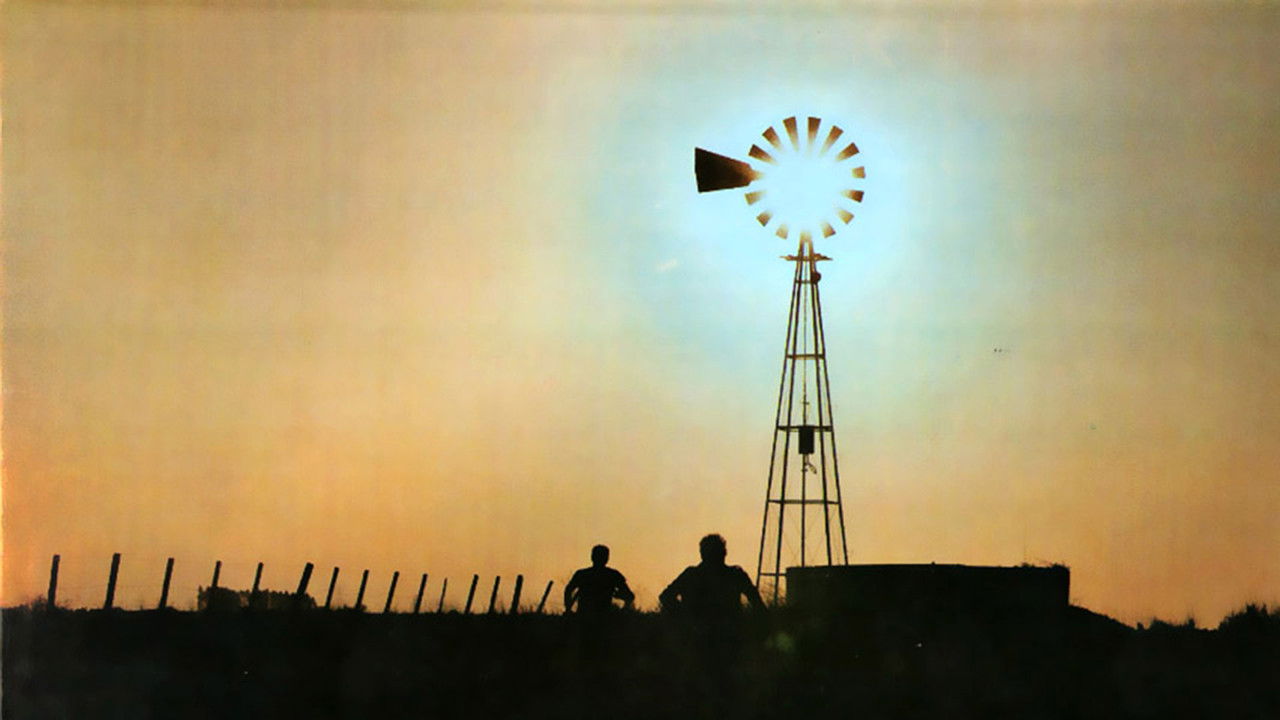 Divididos - Amapola del '66 backdrop