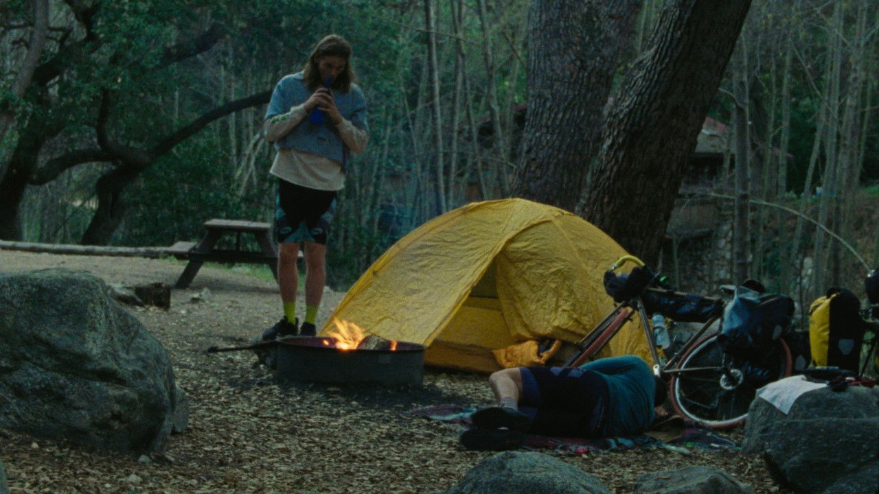 Workers' Comp backdrop