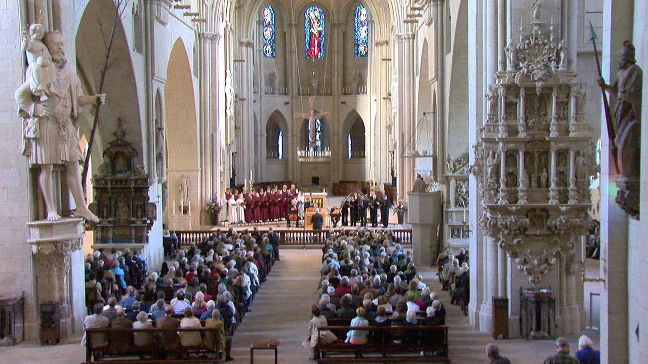 Santini's Network backdrop