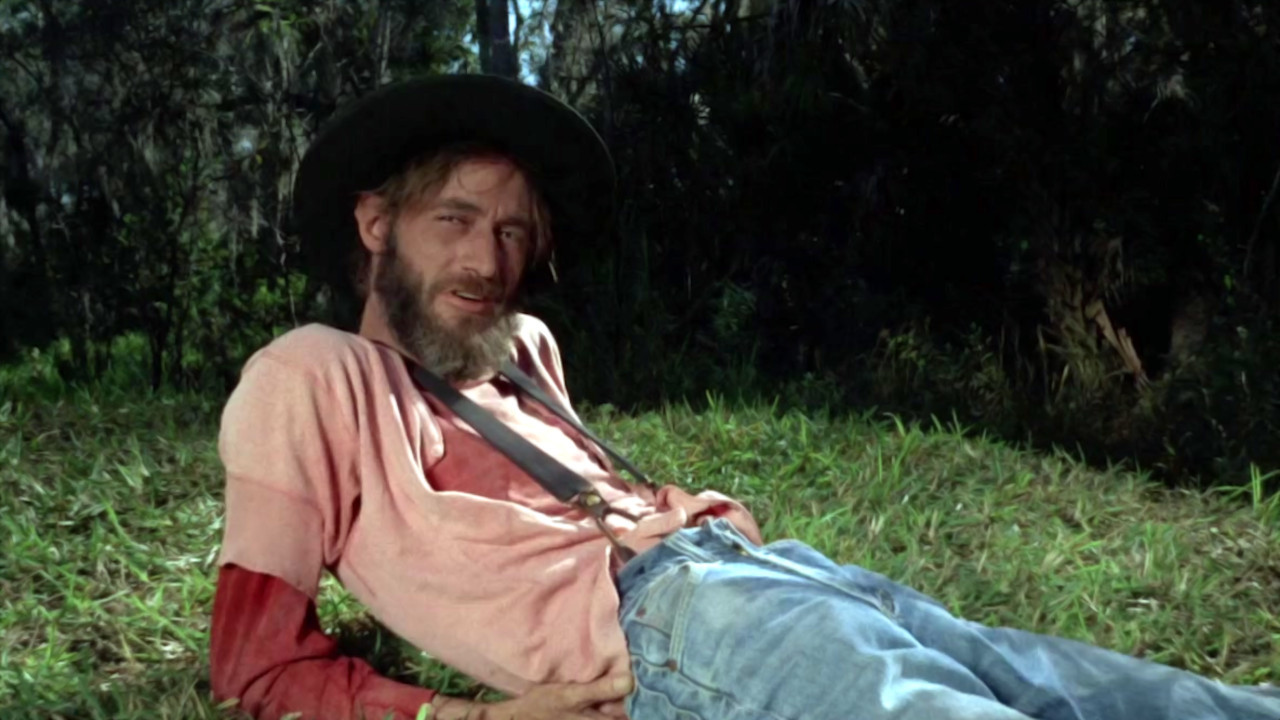 Cottonpickin' Chickenpickers backdrop