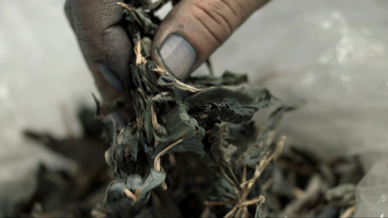 Weaving Shibusa backdrop