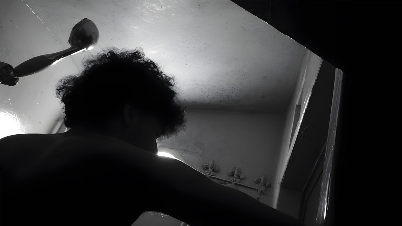 Shadows of Silence backdrop