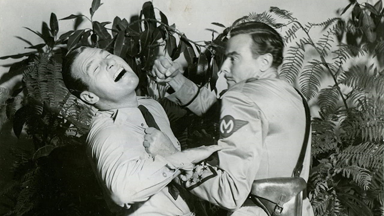 Forced Landing backdrop