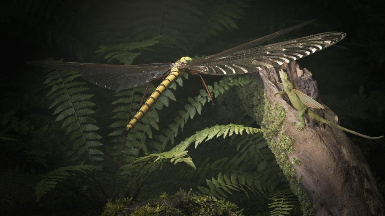 Mysterious Origins of Insects backdrop