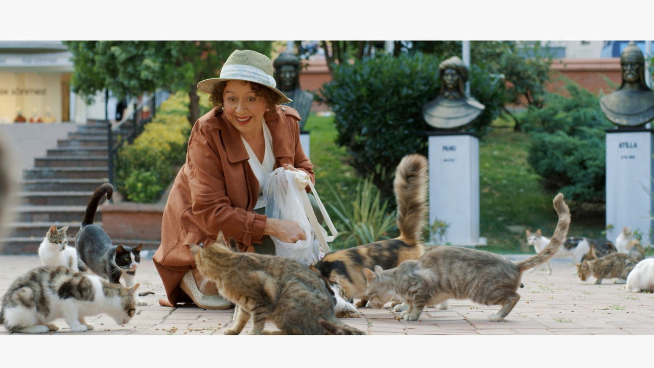 Some Cats of the Neighborhood backdrop