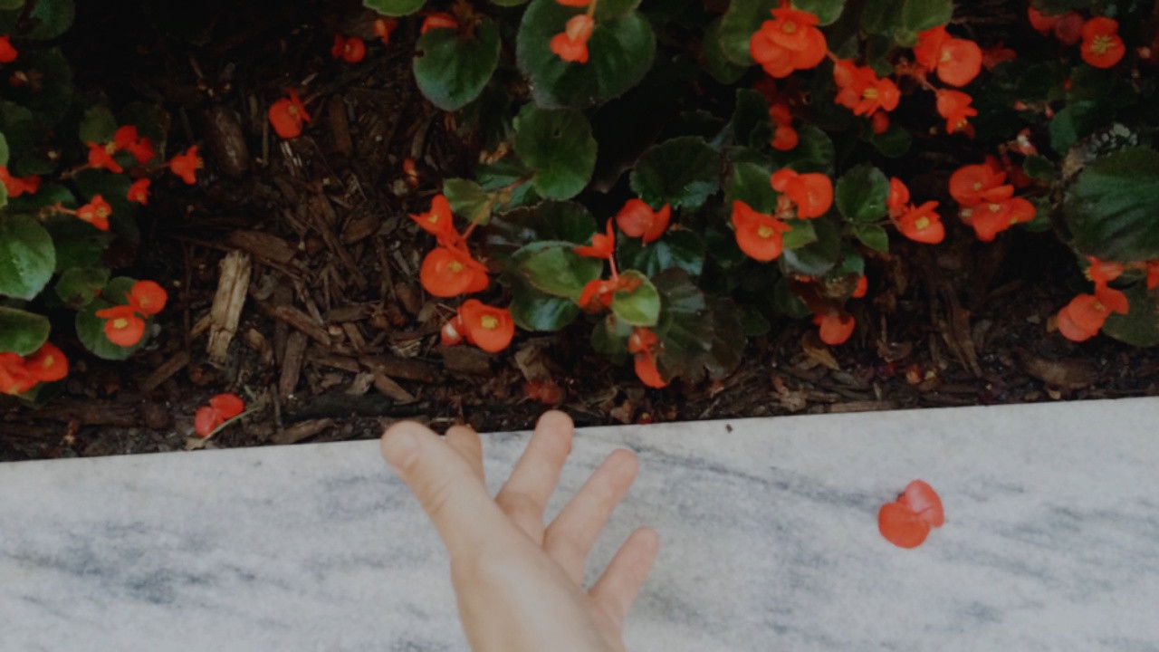 AURORA: Nothing Is Eternal backdrop