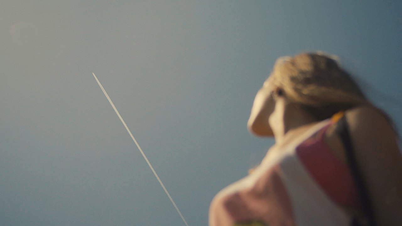 Dog Days of Summer backdrop