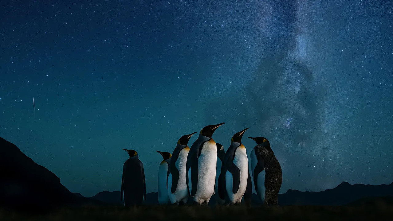 People of the Storms backdrop