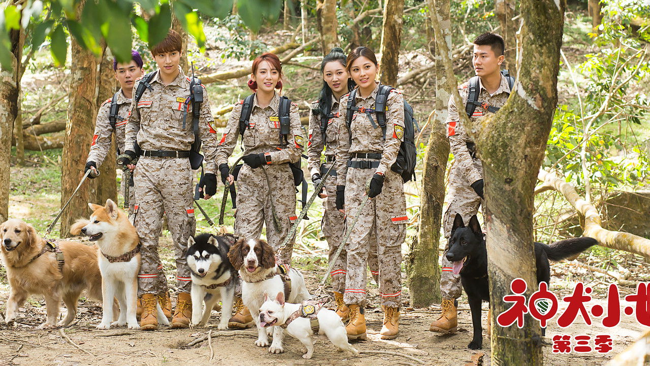 神犬小七3 backdrop