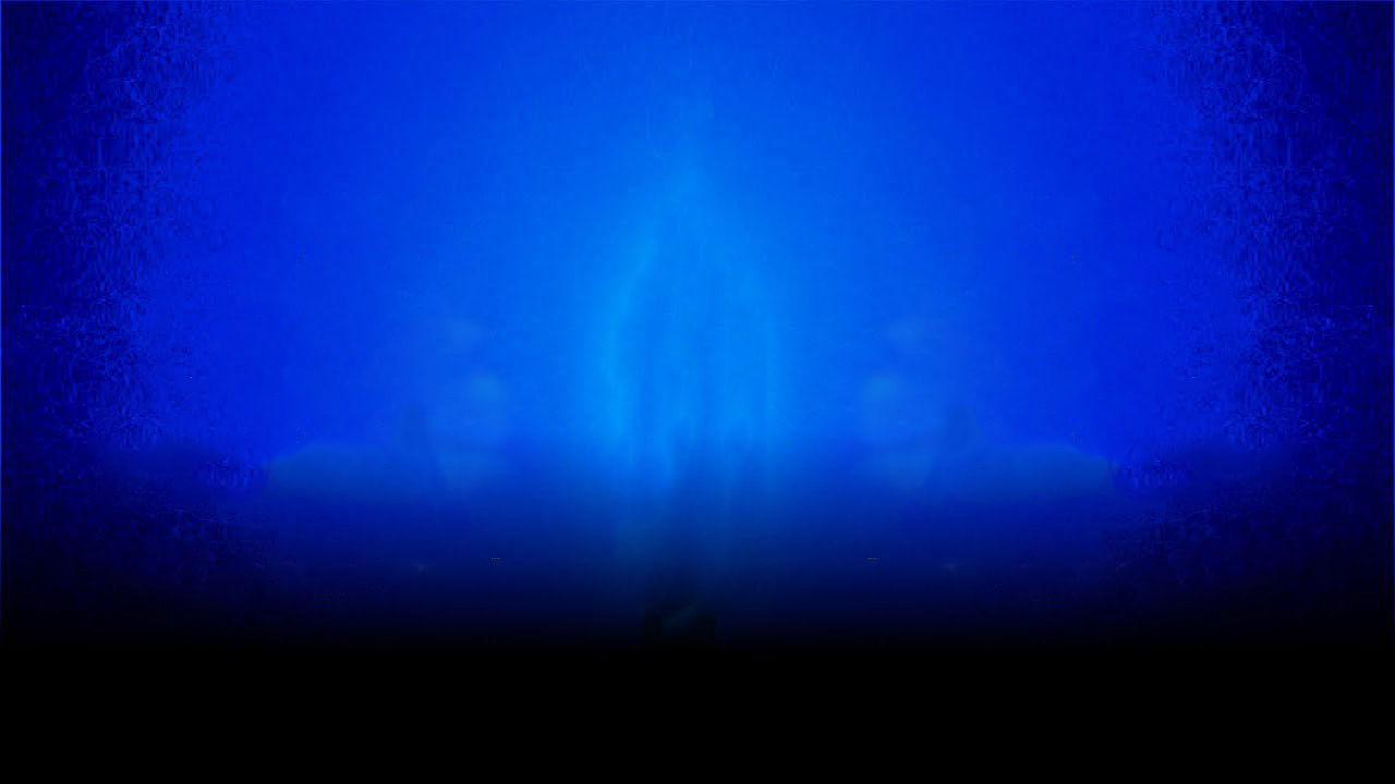 The COVID Experience backdrop